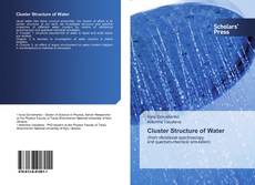 Buchcover von Cluster Structure of Water