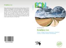 Buchcover von Książęcy Las