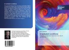 Buchcover von In turbulent conditions