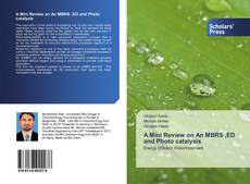 Buchcover von A Mini Review on An MBRS ,ED and Photo catalysis