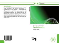 Buchcover von Senin Kanalin