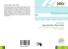 Bookcover of Spring Glen, New York