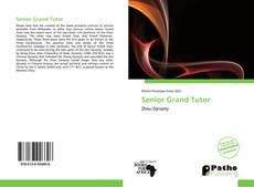 Copertina di Senior Grand Tutor