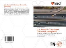 Copertina di U.S. Route 113 Business (Snow Hill, Maryland)