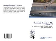 Capa do livro de Bannered Routes of U.S. Route 13 