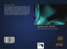 Portada del libro de Spring Lake, Florida