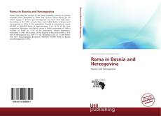 Roma in Bosnia and Herzegovina kitap kapağı