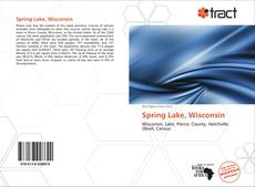 Portada del libro de Spring Lake, Wisconsin