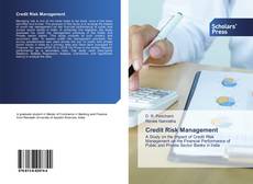 Copertina di Credit Risk Management