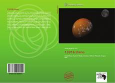 Bookcover of 13316 Llano