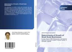 Обложка Determinants of Growth of Small Scale Businesses