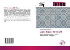 Couverture de Violet-Fronted Brilliant