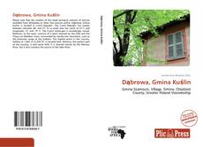 Capa do livro de Dąbrowa, Gmina Kuślin 