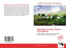 Bębnikąt, Greater Poland Voivodeship kitap kapağı