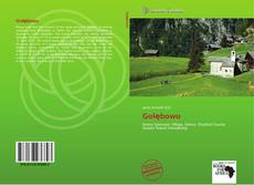 Bookcover of Gołębowo