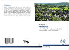 Couverture de Kaziopole