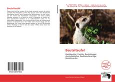 Portada del libro de Beutelteufel