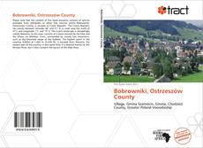 Bookcover of Bobrowniki, Ostrzeszów County