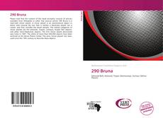 Buchcover von 290 Bruna