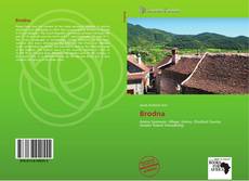 Capa do livro de Brodna 