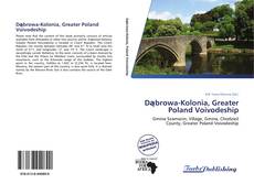 Bookcover of Dąbrowa-Kolonia, Greater Poland Voivodeship