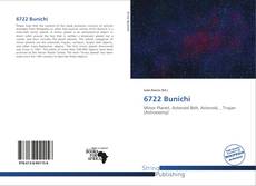 Copertina di 6722 Bunichi