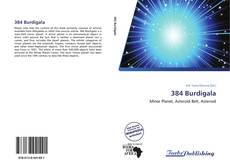 Bookcover of 384 Burdigala