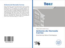 Capa do livro de Antonio de Hornedo Correa 