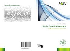 Bookcover of Senior Scout Adventure