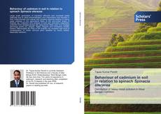 Copertina di Behaviour of cadmium in soil in relation to spinach Spinacia oleracea