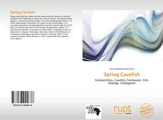 Copertina di Spring Cavefish