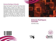 Portada del libro de Antonio Rodríguez Salvador