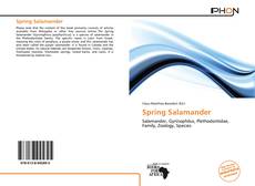 Copertina di Spring Salamander