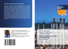 Review of Oil and Gas Prospectivity的封面