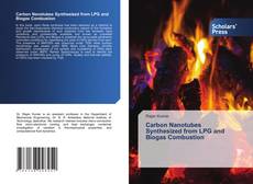 Copertina di Carbon Nanotubes Synthesized from LPG and Biogas Combustion