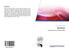 Bookcover of Senlisse