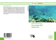 Buchcover von Beveridge-Riff