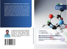 Copertina di Development of Clay/Polymer Nanocomposites: