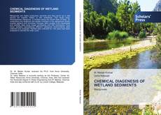 Copertina di CHEMICAL DIAGENESIS OF WETLAND SEDIMENTS