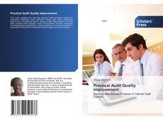 Copertina di Practical Audit Quality Improvement