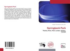 Capa do livro de Springbank Park 