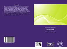 Capa do livro de Sennefer 