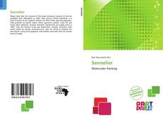 Bookcover of Sennelier