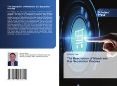 Обложка The Description of Membrane Gas Separation Process