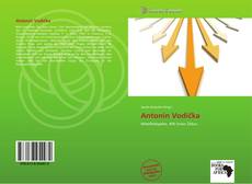 Bookcover of Antonín Vodička