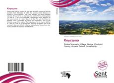 Portada del libro de Knyszyna