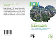 Koziegłowy, Greater Poland Voivodeship kitap kapağı