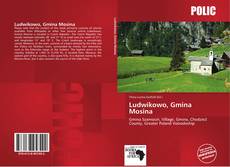 Bookcover of Ludwikowo, Gmina Mosina