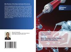 Copertina di Mini Review of the Nano-Activated Structures