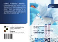 Copertina di Principles of Work and Safety in Laboratories